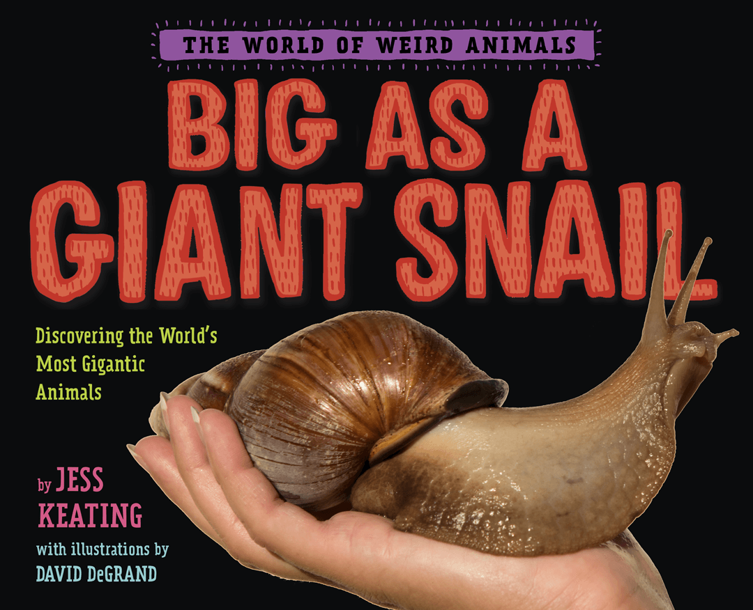 Big as a Giant Snail 