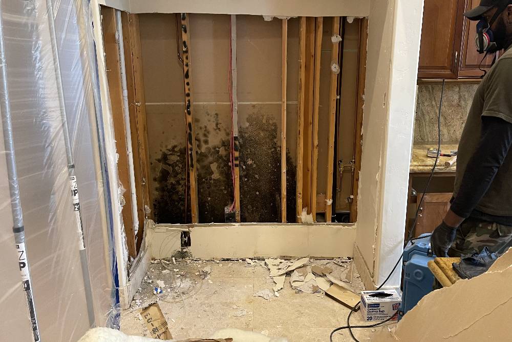 Residential plumbing service addressing water damage and mold removal in a damaged wall.