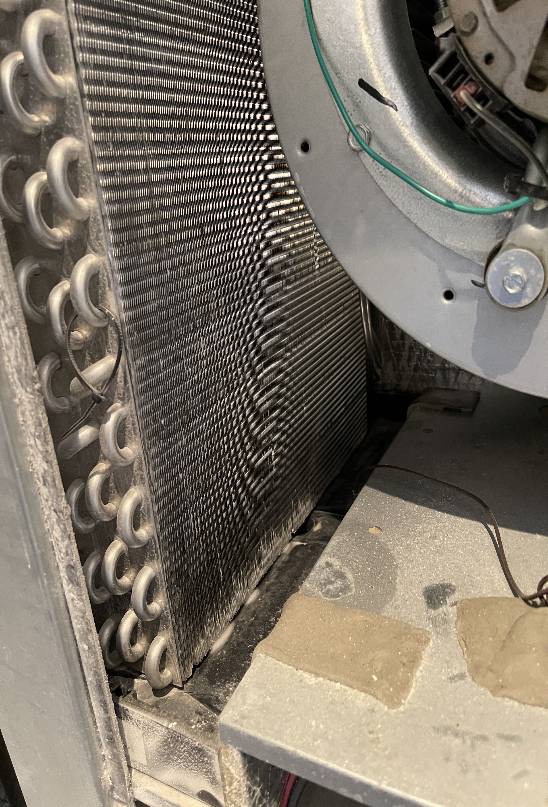 Close-up view of an HVAC evaporator coil and blower motor assembly requiring maintenance.