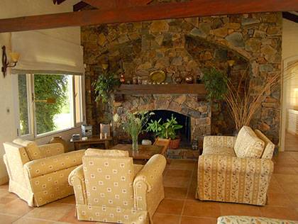 Elegant stone fireplace in a cozy living room with natural decor