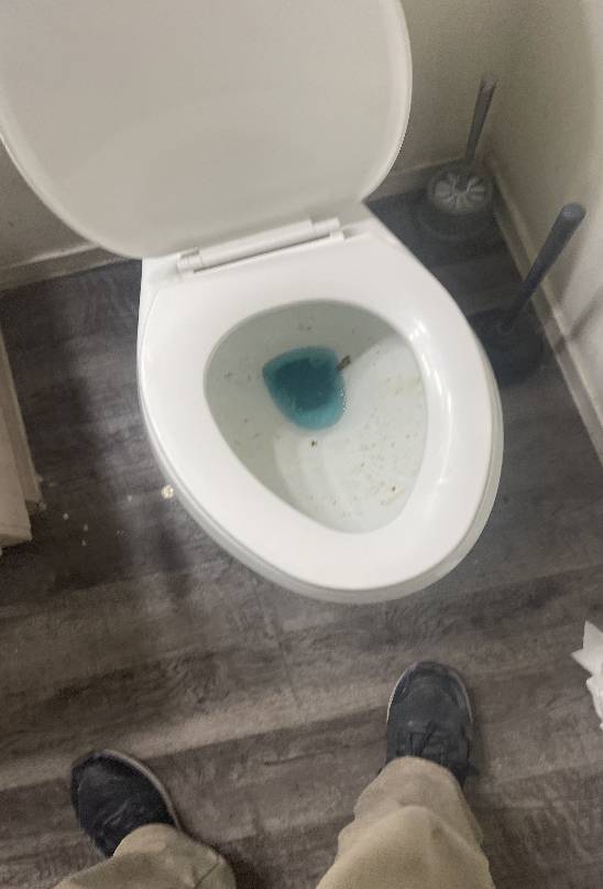 Toilet clogging issue being addressed by a plumber