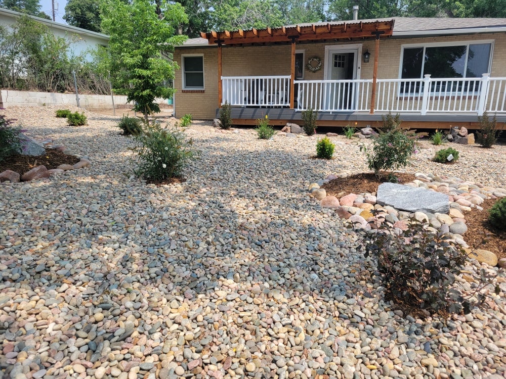 Transformed front yard with modern gravel landscaping and fresh plantings.