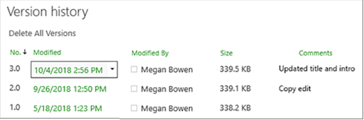 View of Sharepoint version history list