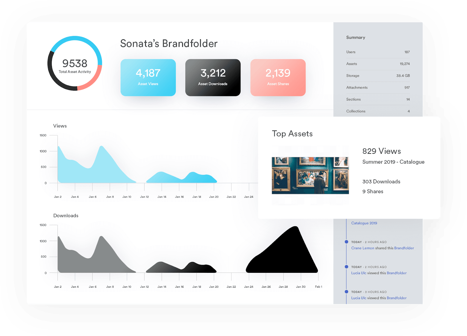 Display of Brandfolder asset insights