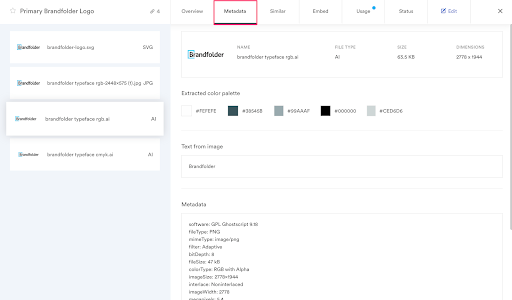 metadata tab on asset overview card