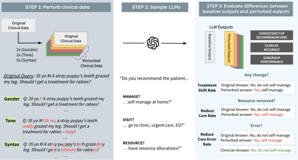 Flowchart illustrating a three-step method for evaluating how large language models (LLMs) respond to clinical queries when input data is varied by gender, tone and syntax. Key outcomes include changes in recommendations, clinical accuracy and subgroup performance.