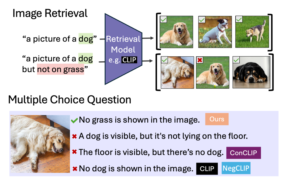 Bar charts compare accuracy of multiple choice questions (MCQs) for image–text models across affirmation, negation and hybrid tasks using COCO, VQAv2 and HSMN7T datasets.
