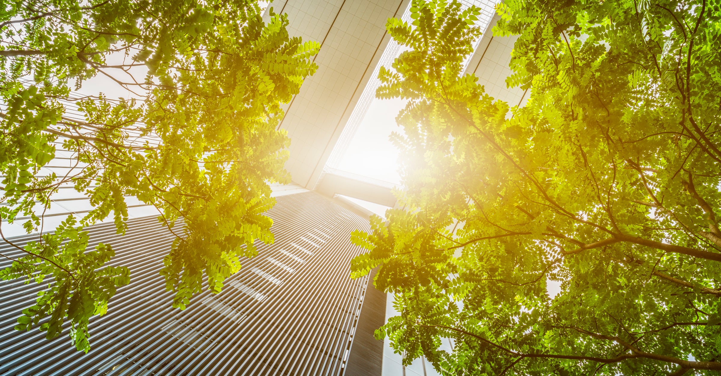 Landmark Federal Court Penalty For ASIC Greenwashing Proceeding bam-the-title-alone-is-enough-for-me-thank-you-teresa-carol-medium