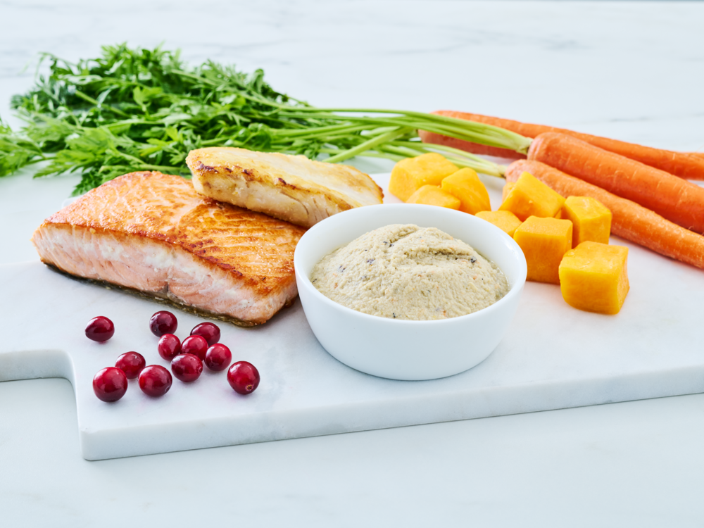Wild Alaska pollock and salmon cat food paté in a white bowl, styled with a cooked salmon fillet, carrots, leafy greens, cubed squash, and cranberries on a white surface.
