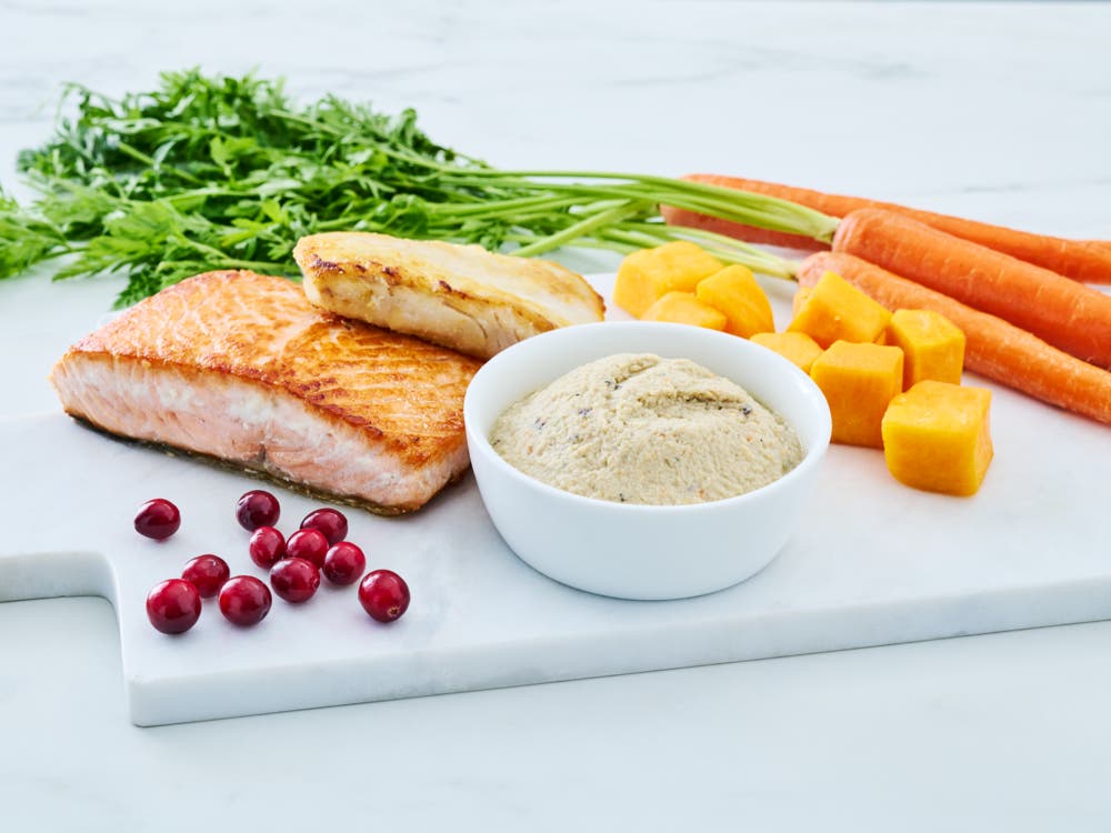 Wild Alaska pollock and salmon cat food paté in a white bowl, styled with a cooked salmon fillet, carrots, leafy greens, cubed squash, and cranberries on a white surface.
