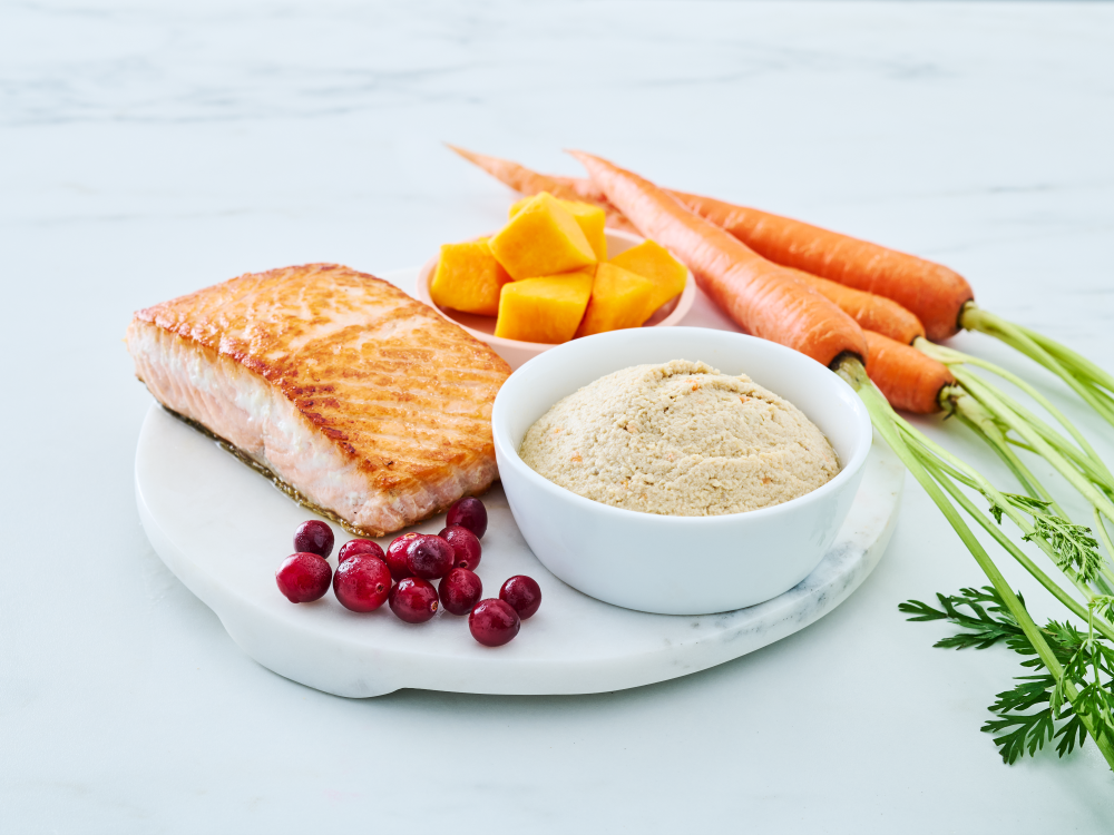 Wild salmon cat food paté in a white bowl, styled on a round white marble board with a cooked salmon fillet, whole carrots with greens, cubed squash, and fresh cranberries on a light background.