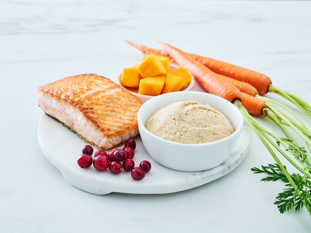 Wild salmon cat food paté in a white bowl, styled on a round white marble board with a cooked salmon fillet, whole carrots with greens, cubed squash, and fresh cranberries on a light background.