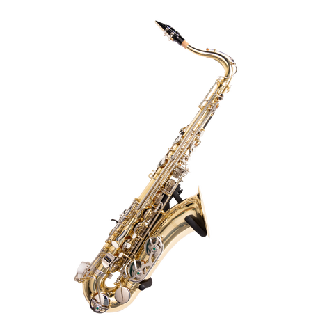 Wall Hanger for Saxophone
