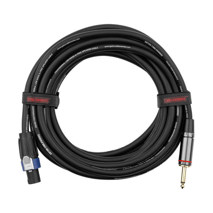 25 Foot TS to Twist Lock Connector Speaker Cable