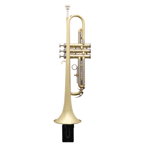 Wall Hanger for Trumpet