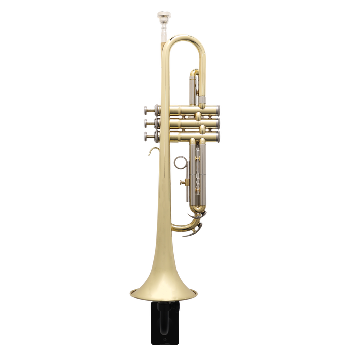 Wall Hanger for Trumpet