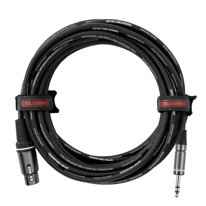 10 Foot XLR F to TRS Cable