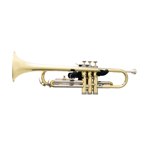 Horizontal Wall Hanger for Trumpet