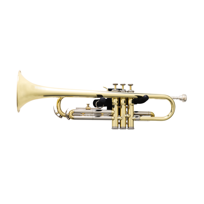 Horizontal Wall Hanger for Trumpet