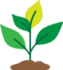 Lessons 21-25 - Plant Icon