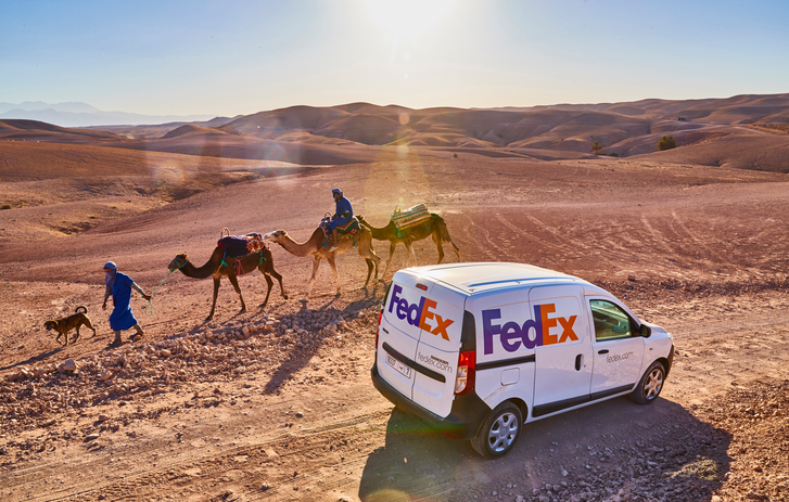 FedEx Transporter, der an einem Hund, zwei Menschen und drei Kamelen vorbeifährt