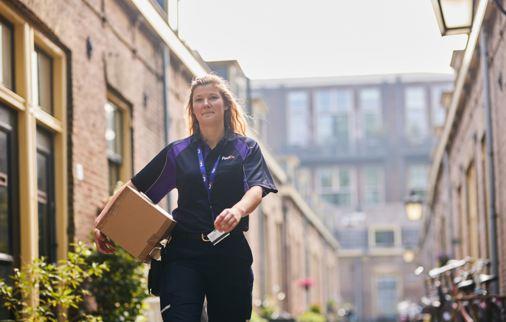 Domestic services