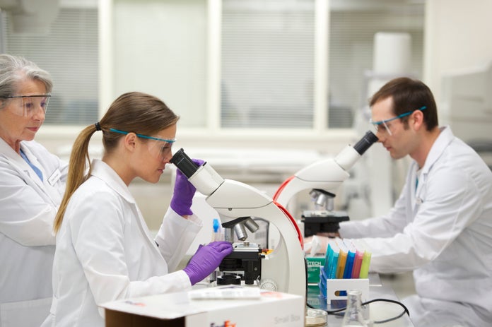 Lab technicians using microscopes to examine