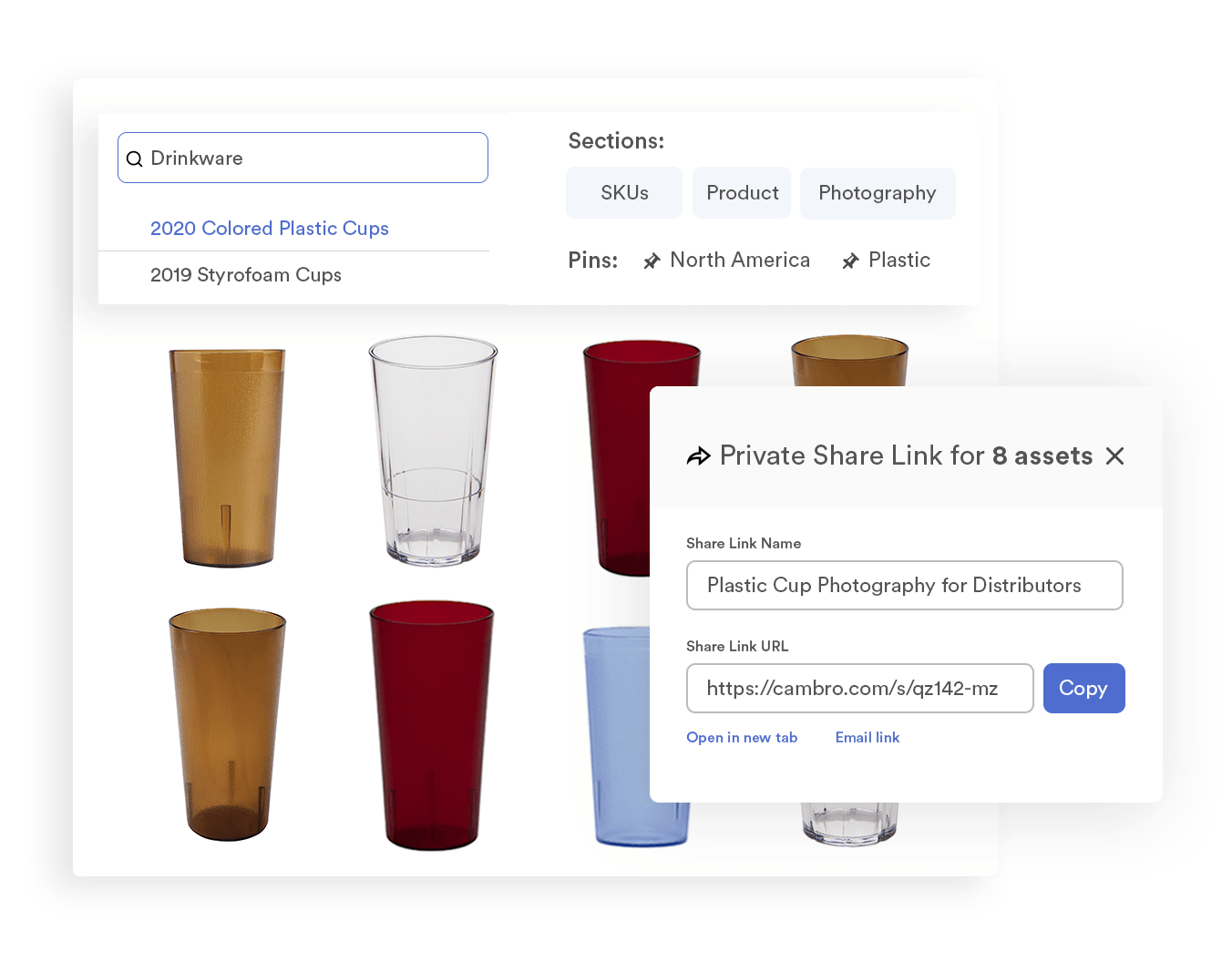 share link with multiple assets example