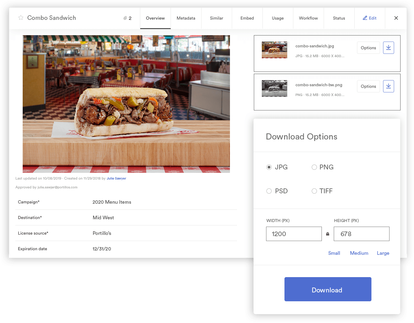 asset modal example with download options