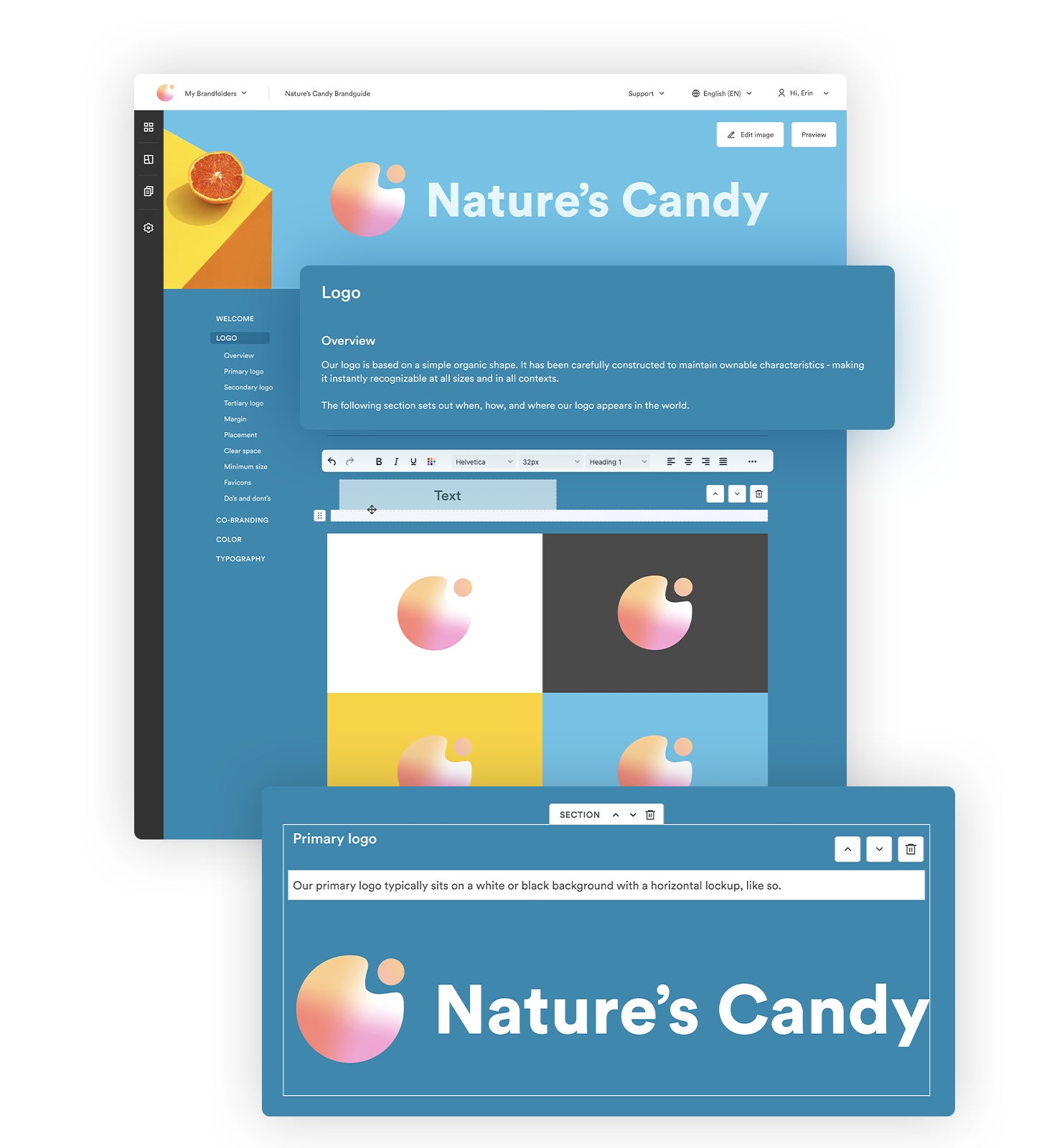 Mock Nature's Candy Brandguide with logo sections