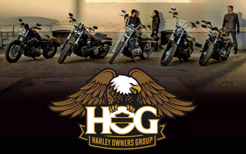 Harley hog group