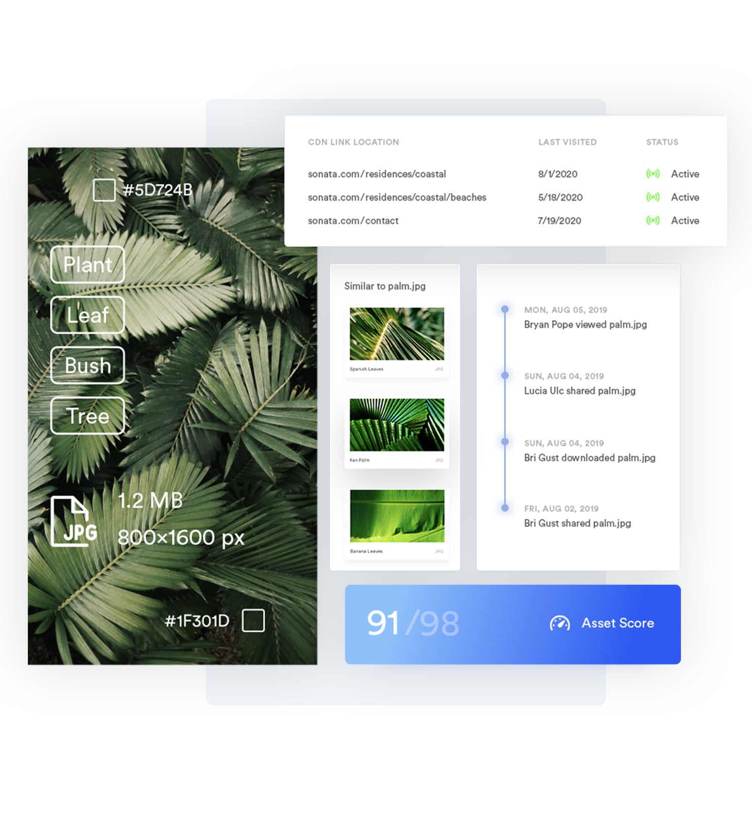 asset with analytics, CDN metrics and metadata