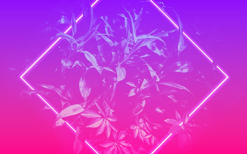 Plants coming out of a neon diamond