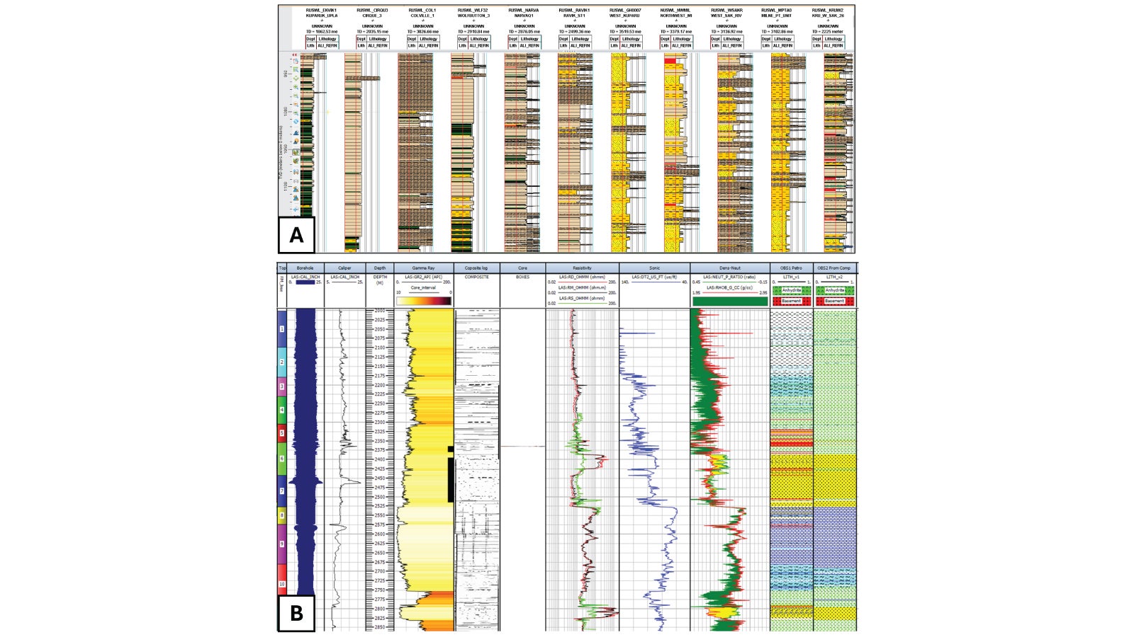 Computed lithology strips from DecisionSpace 365