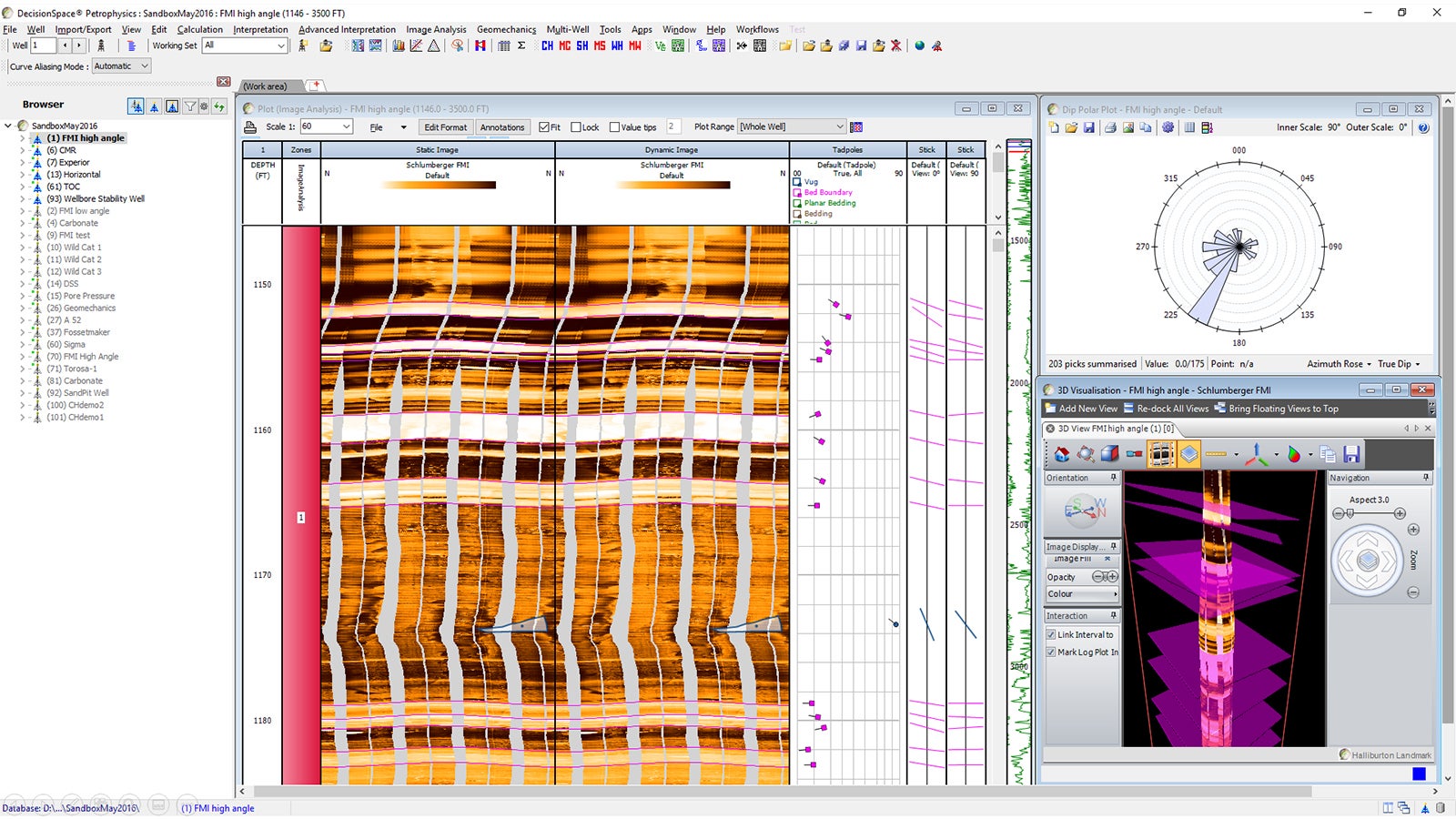 Image log analysis & interpretation includes 3D visualisation capabilities