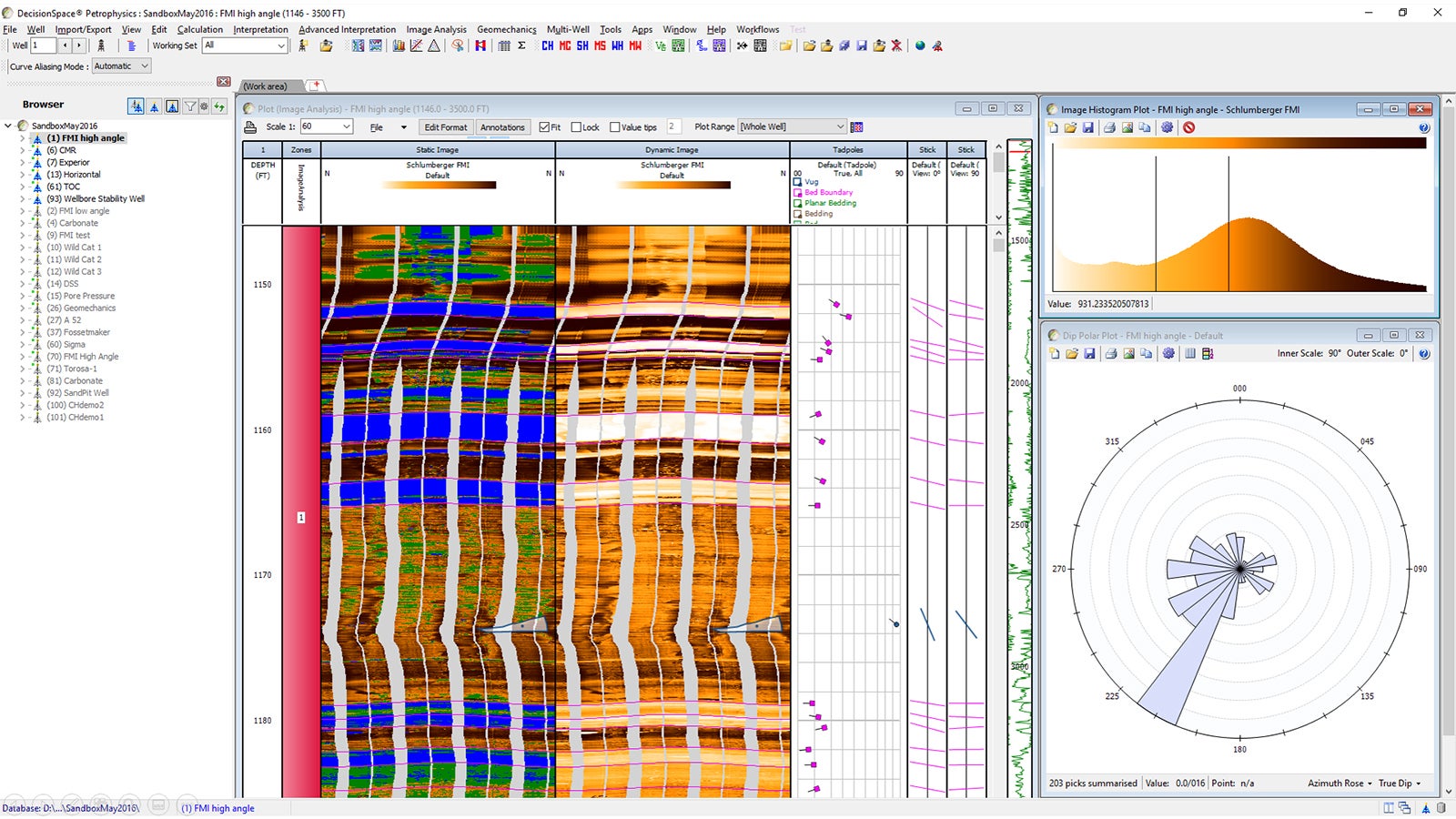 Image log analysis & interpretation includes histogram visualization capabilities