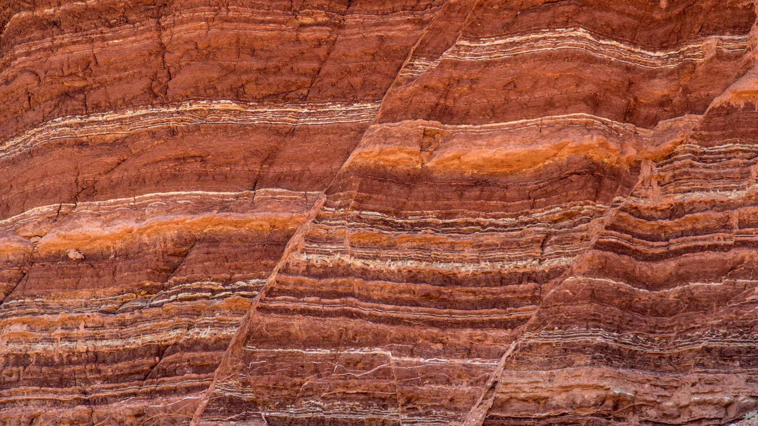 Automated stratigraphy to optimize your subsurface interpretation