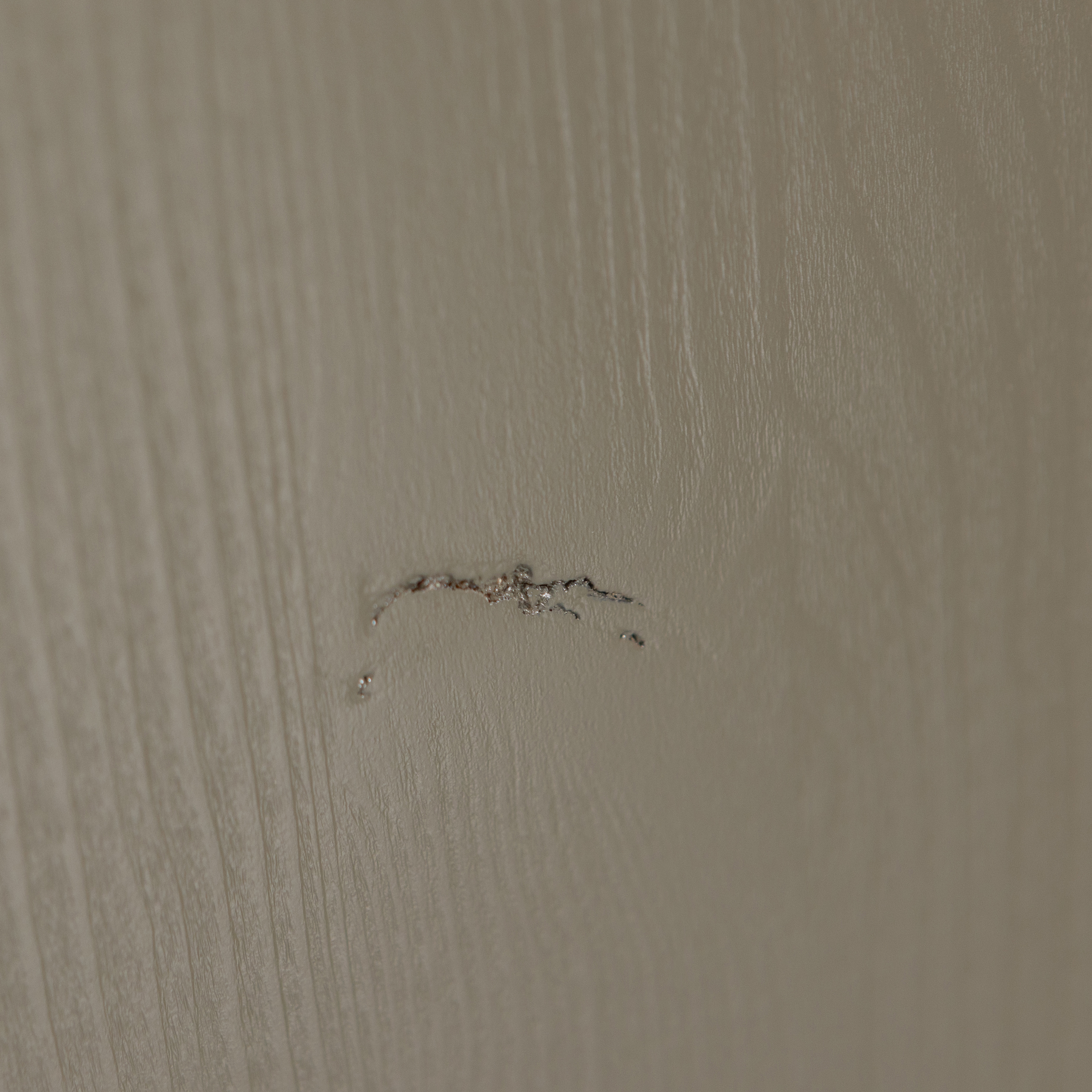 HOUT_IMPERFECTIE_Grenenhout_forest_Groen_01.jpg?auto=webp&format=png&width=1500&height=1500