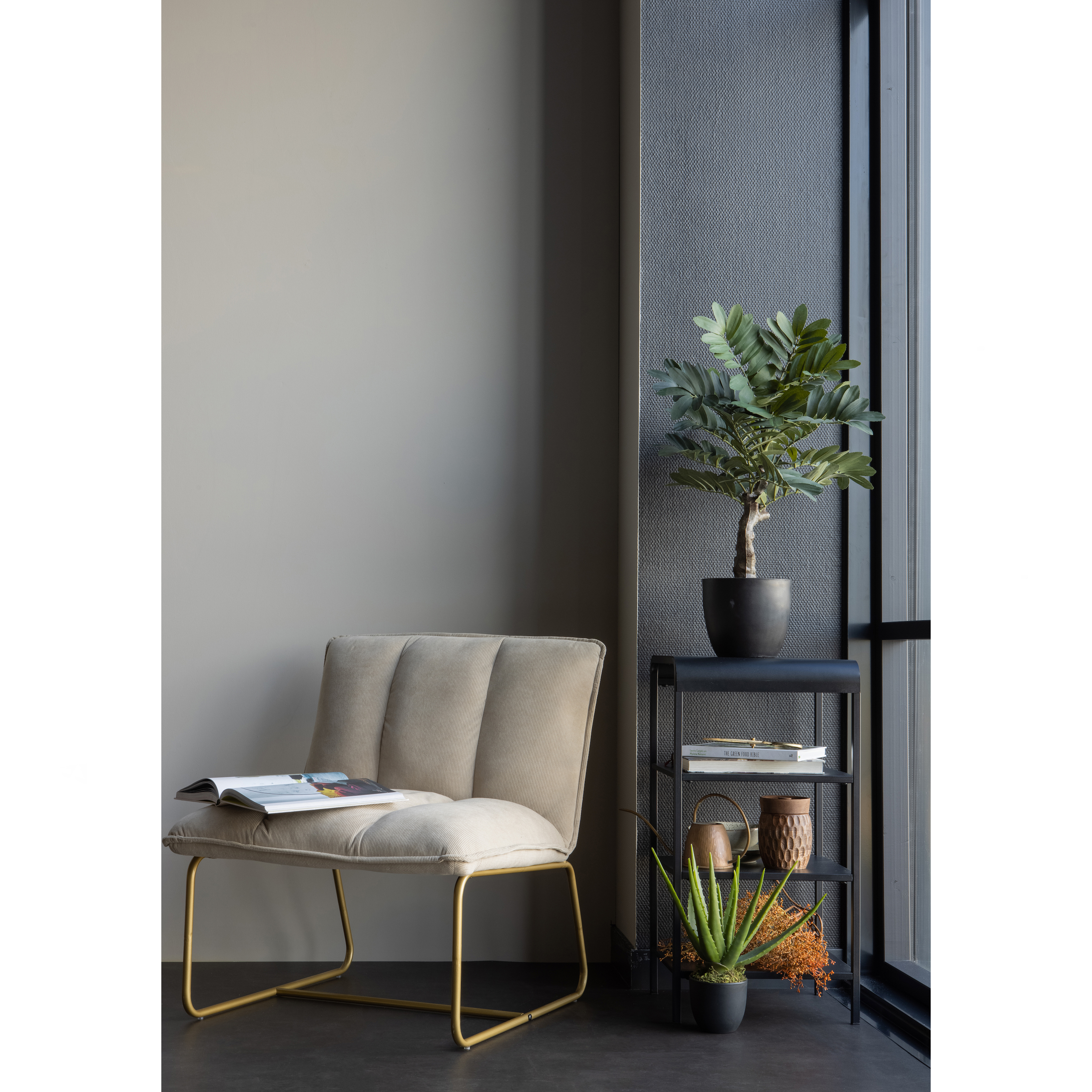 377204-Z-377234-Z-377207-G-373816-G-02_SF_FA_Fie_fauteuil_Mirza_kastje_Bodhi_hocker_Zambia_kunstplant_Aloe_vera.jpg?auto=webp&format=png&width=1500&height=1500