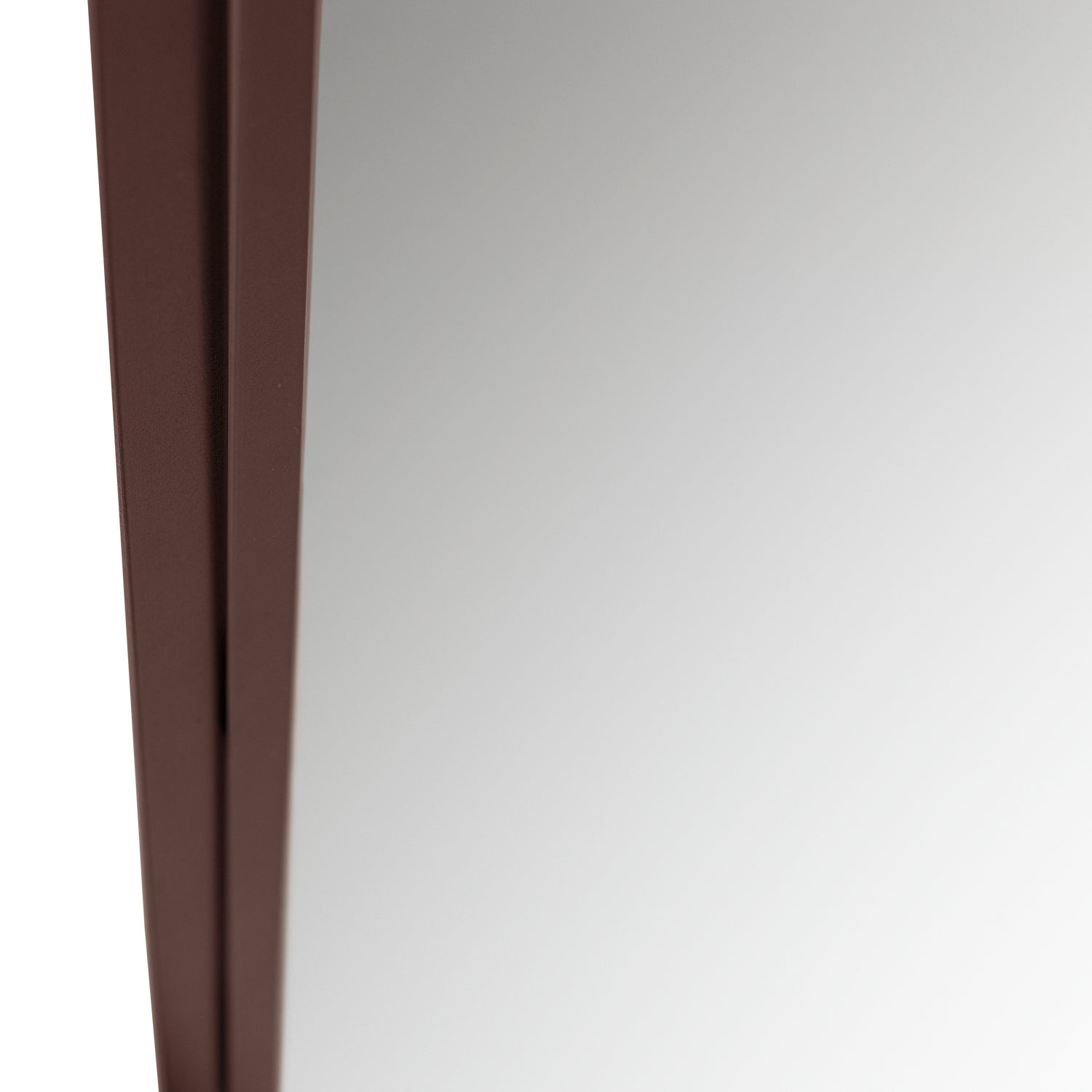 373908-O_05_VS_Doutzen_spiegel_110x40_cm_metaal_bordeauxrood_C2.png?auto=webp&format=png&width=1500&height=1500