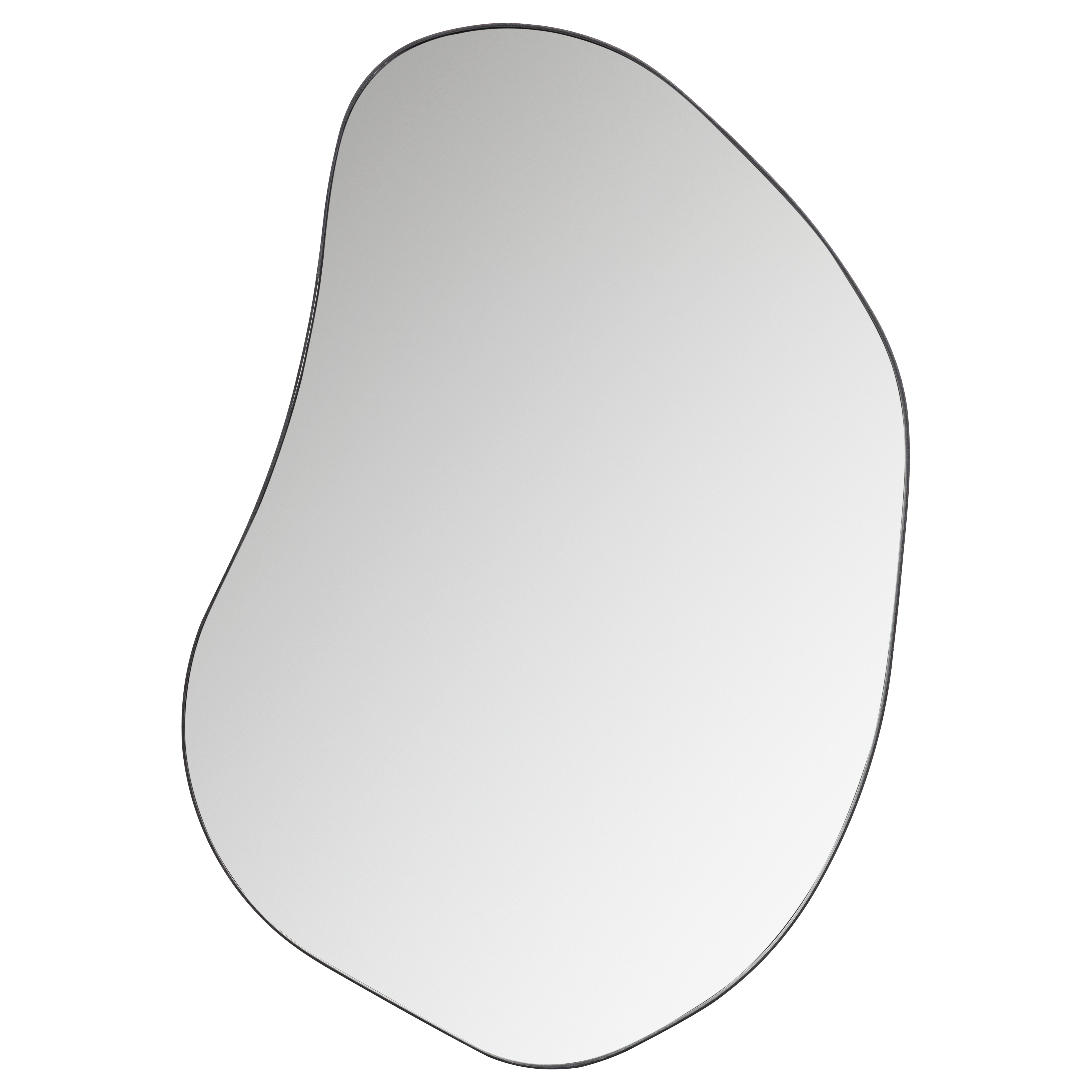 373940-Z-01_VS_FA_Romee_organische_spiegel_metaal_zwart_100x70cm_EA.png?auto=webp&format=png&width=1500&height=1500