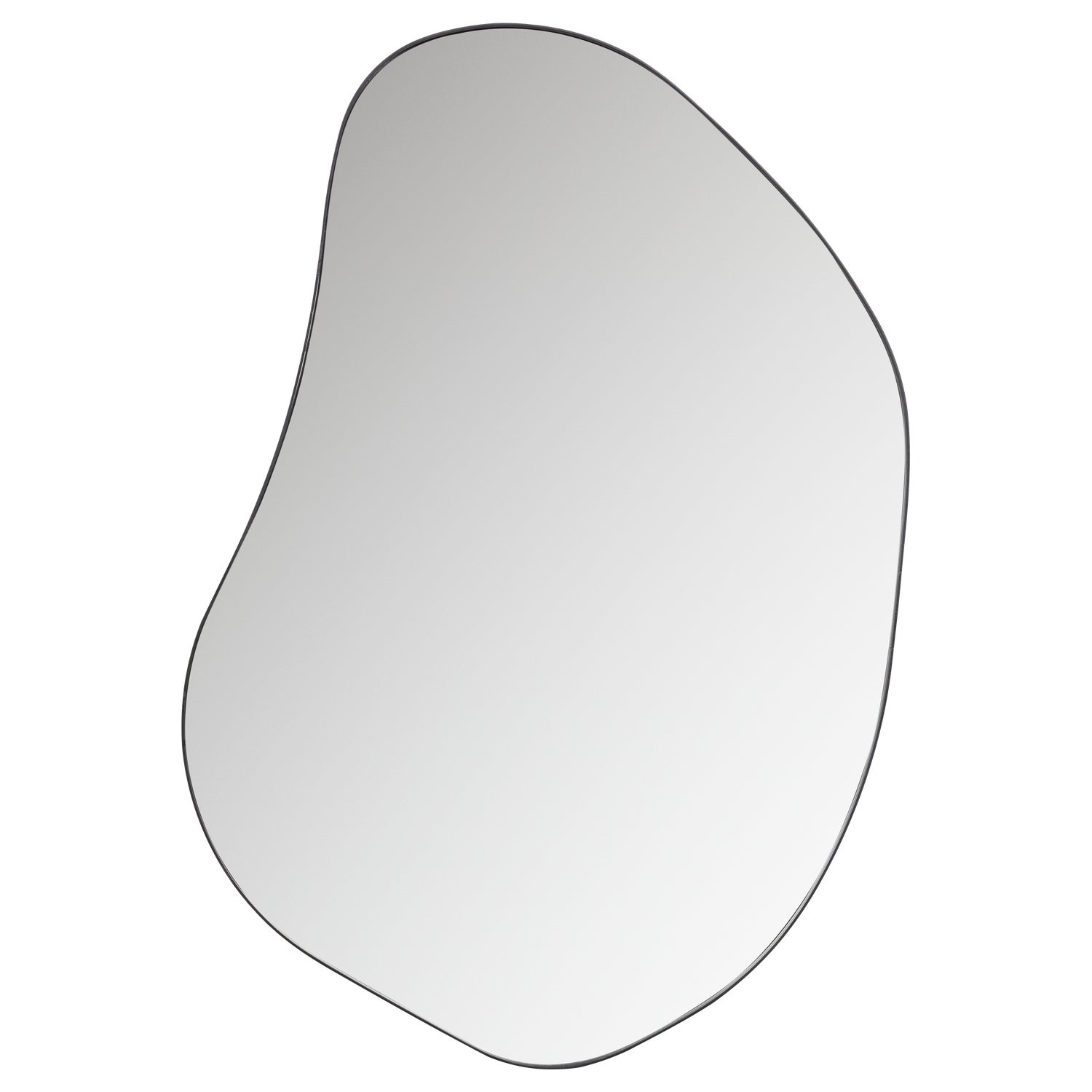 373940-Z-01_VS_FA_Romee_organische_spiegel_metaal_zwart_100x70cm_EA.png?auto=webp&format=png&width=1500&height=1500