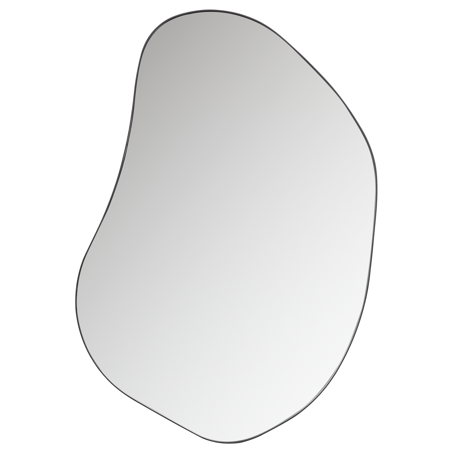 373940-Z-01_VS_FA_Romee_organische_spiegel_metaal_zwart_100x70cm_EA.png?auto=webp&format=png&width=1500&height=1500