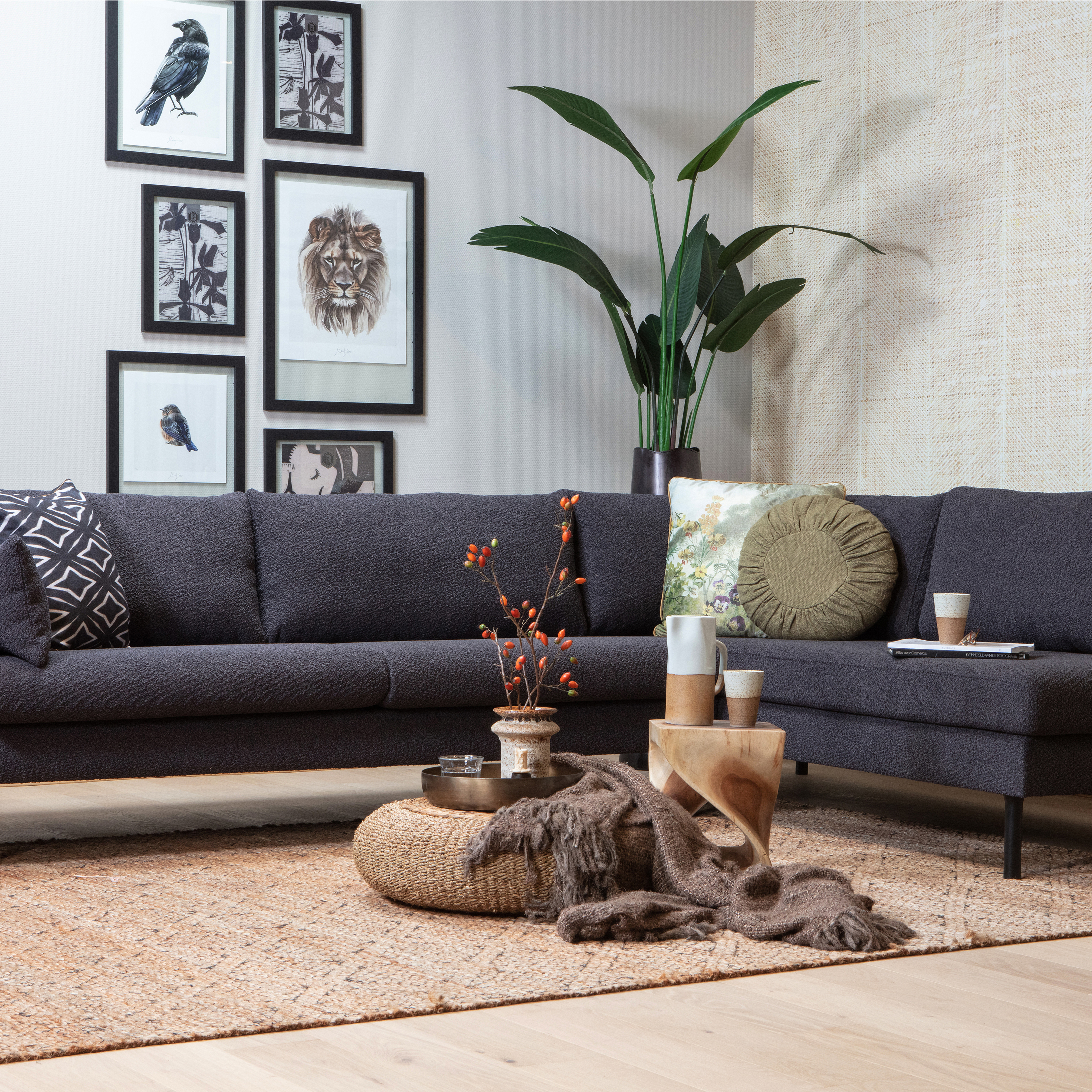 200299-TG-373819-G-800630-Z-800629-Z-800630-Z-01_SF_BL_Wilder_hoekbank__Strelitzia_VIERKANT.jpg?auto=webp&format=png&width=1500&height=1500