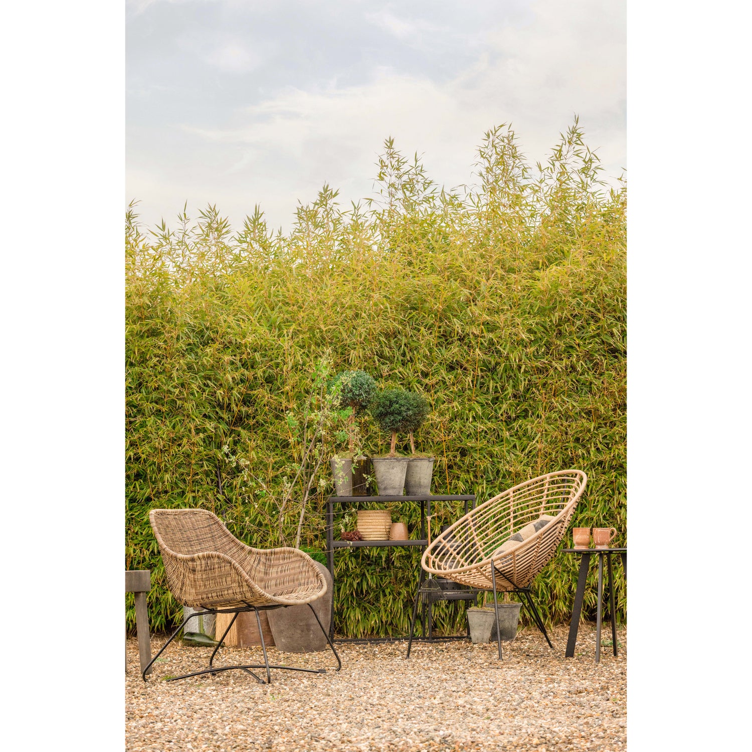 379608-B-377188-Z-373636-N-377183-Z-02_SF_FA_Frankie_Jane_Febe_Fer.jpg?auto=webp&format=png&width=1500&height=1500