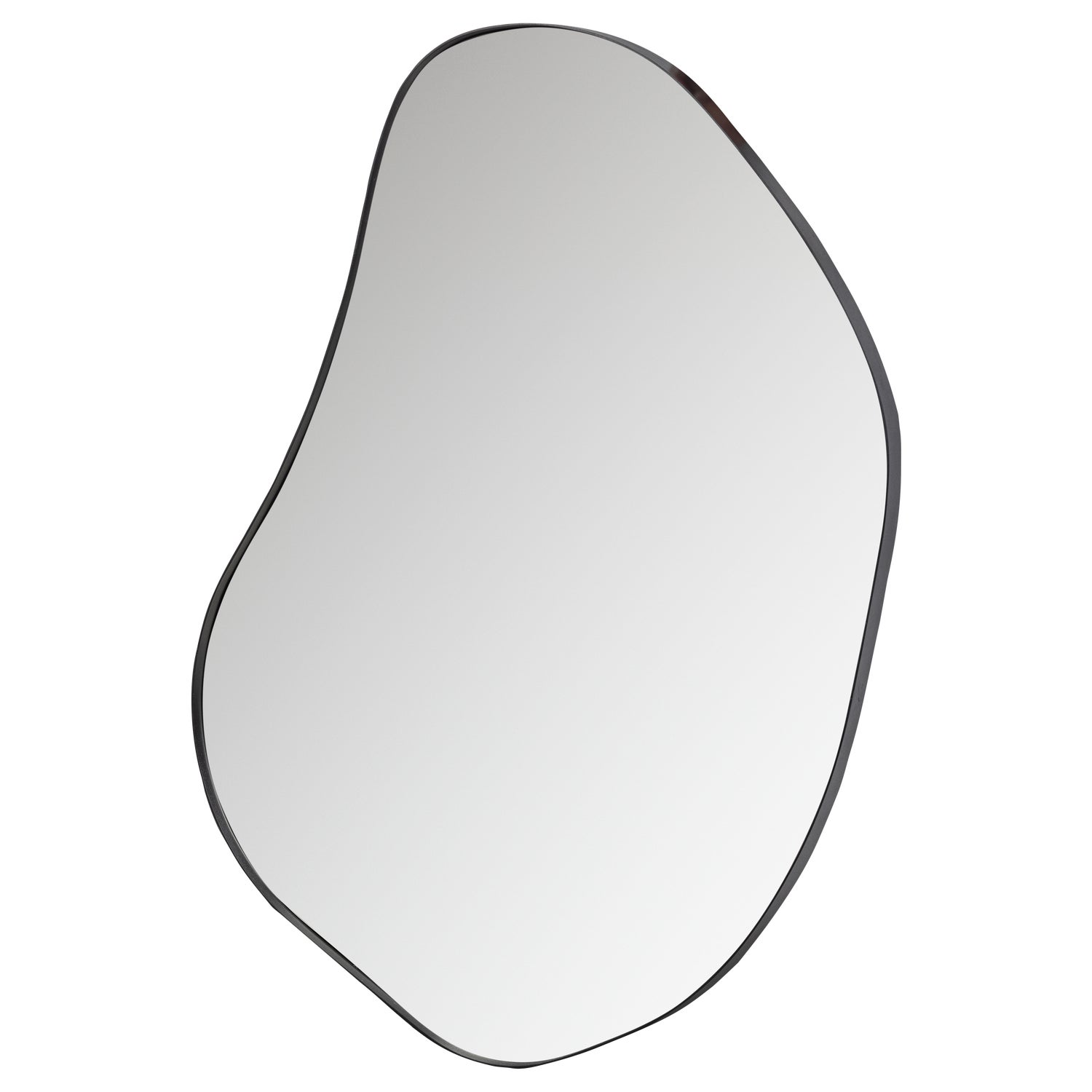 373940-Z-02_VS_FA_Romee_organische_spiegel_metaal_zwart_100x70cm.png?auto=webp&format=png&width=1500&height=1500
