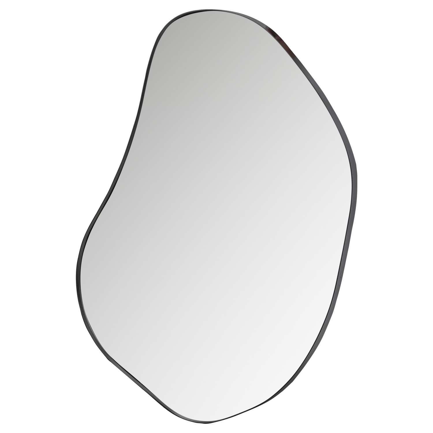 373940-Z-02_VS_FA_Romee_organische_spiegel_metaal_zwart_100x70cm.png?auto=webp&format=png&width=1500&height=1500