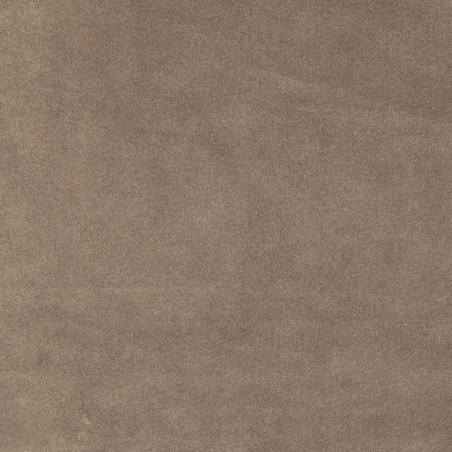 ADMIT_5013_KHAKI_FIVE-0_VELVET.jpg?auto=webp&format=png&height=1500