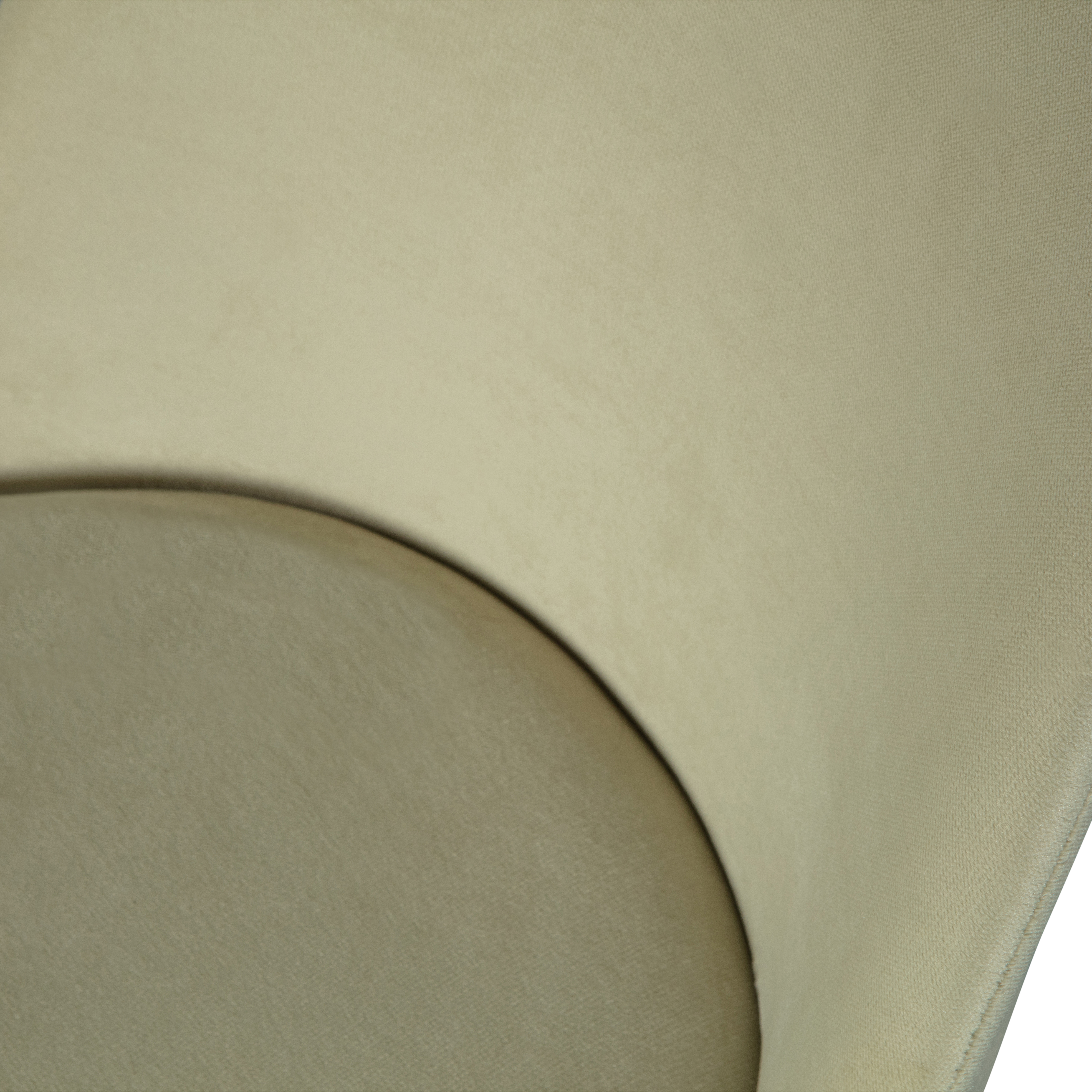 800816-P-01_VS_BP_vogue_eetkamerstoel_fluweel_pistache_detail.jpg?auto=webp&format=png&width=1500&height=1500