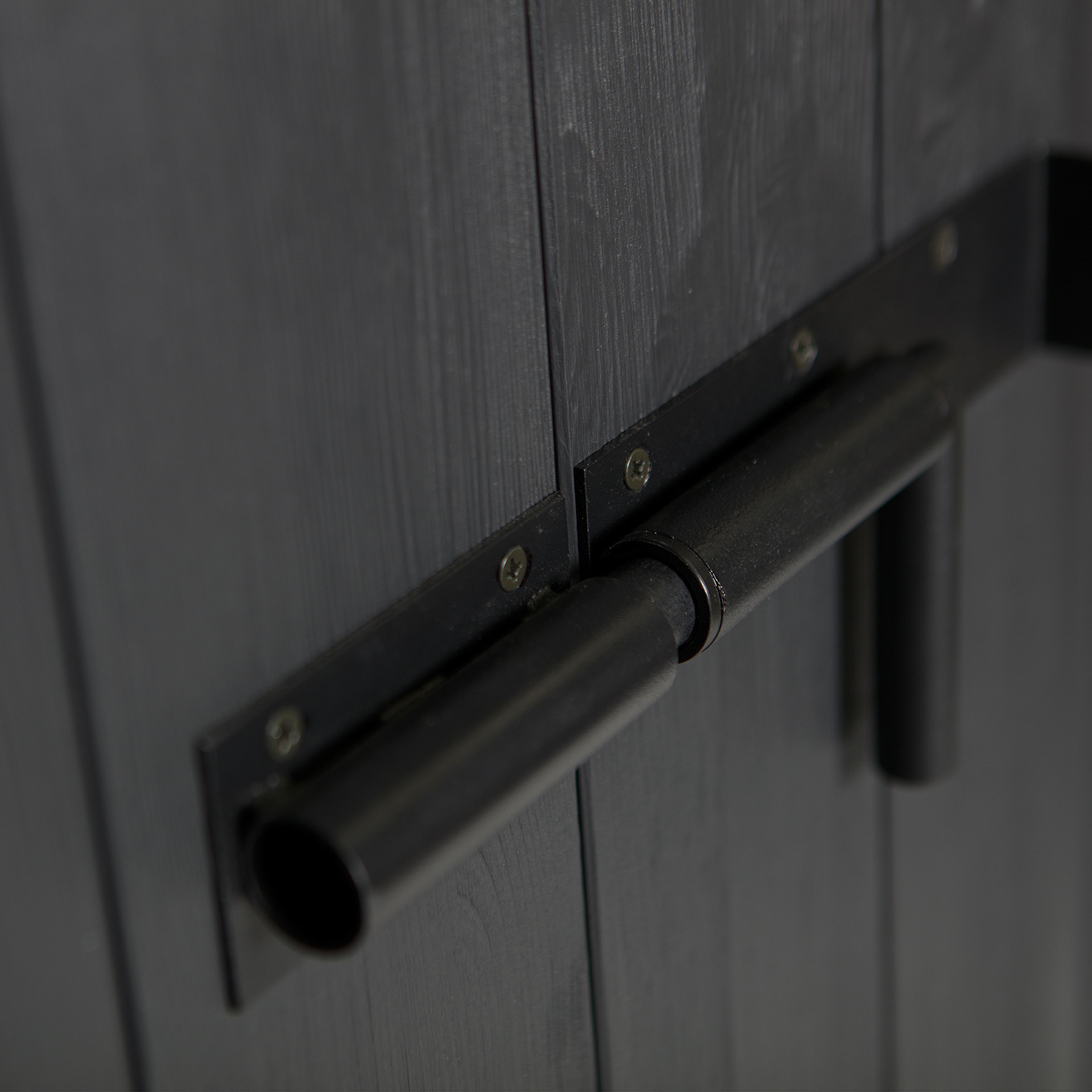 373654-Z-01_VS_FA_Bruut_kast_grenen_diep_zwart_detail.jpg?auto=webp&format=png&width=1500&height=1500